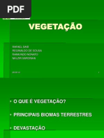VEGETAÇÃO-IFES