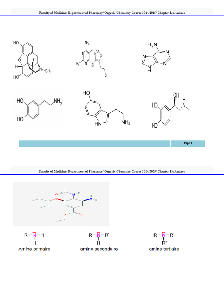 Overview of Amines in Organic Chemistry | PDF | Amine | Chemical Reactions