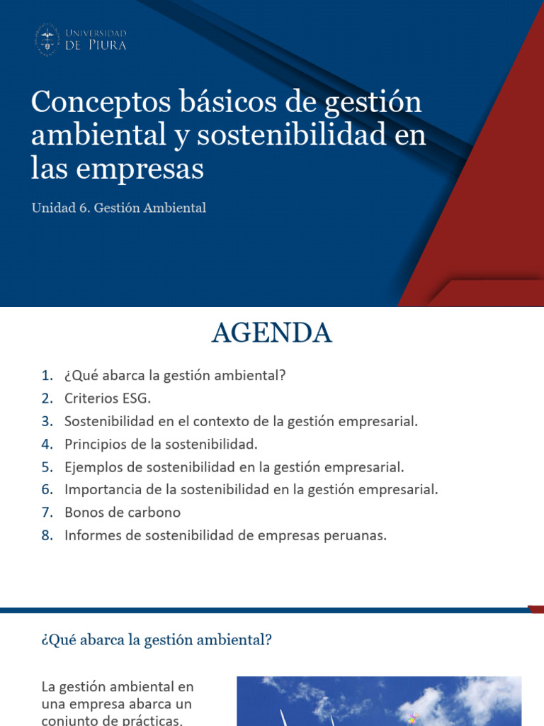 Gestión Ambiental y Sostenibilidad Empresarial | PDF | Sustentabilidad ...