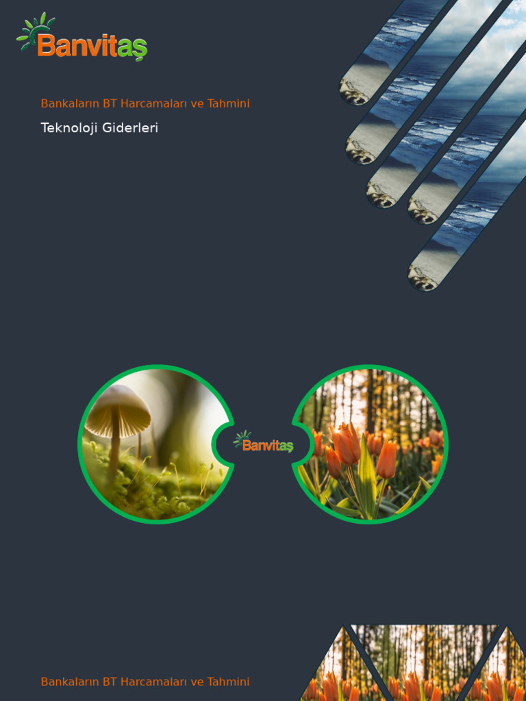 Ornek 2 | PDF