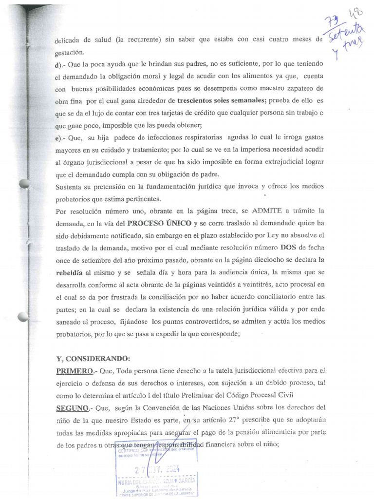 Proceso Inmediato 8 | PDF