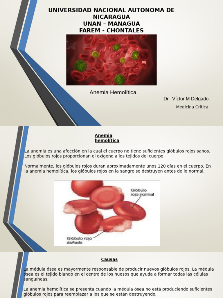 Causas y Diagnóstico de Anemia Hemolítica | PDF | Glóbulo rojo | Sangre