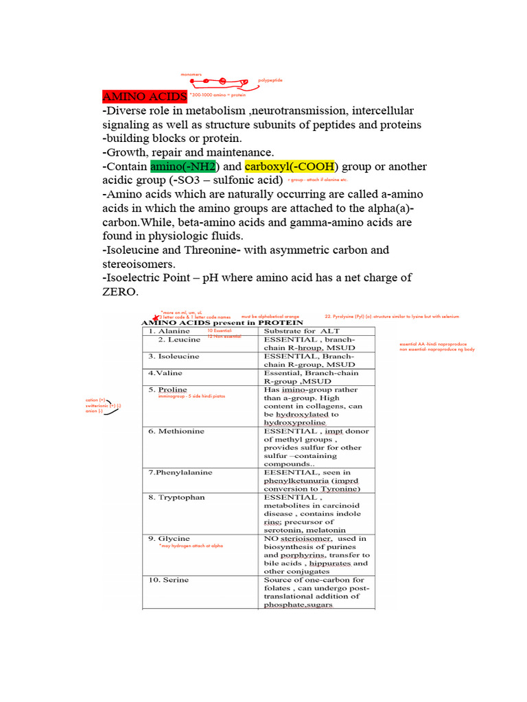 Proteins and Amino Acids | PDF | Amino Acid | Proteins