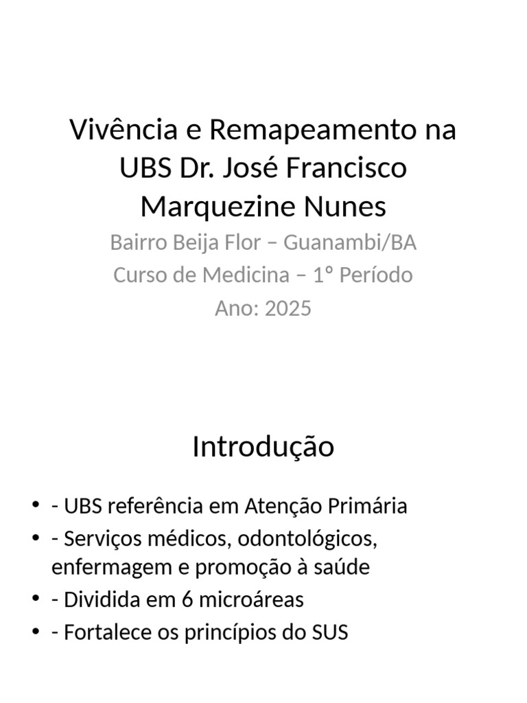 Vivência na UBS Beija Flor: Desafios e Aprendizados | PDF | Sistema de ...
