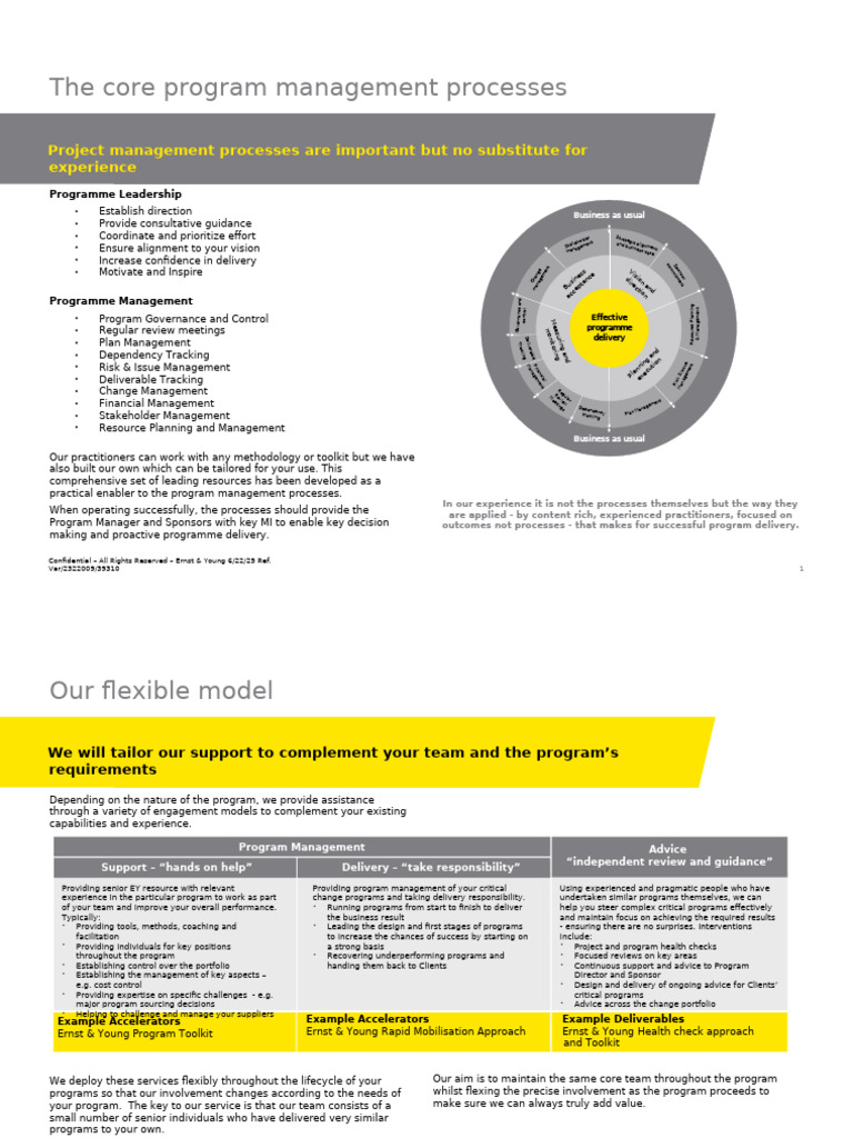 Program Management Processes Overview | PDF