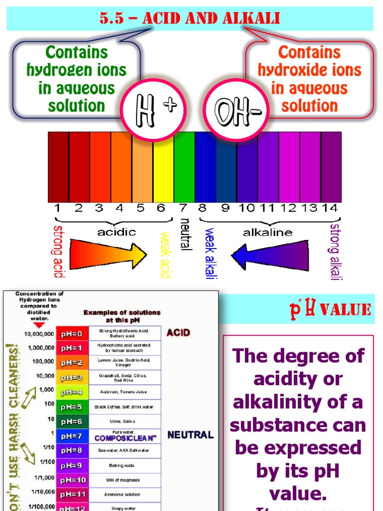 Understanding Acids and Alkalis | PDF