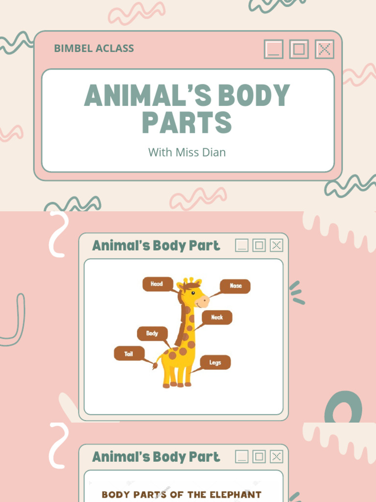 Animal's Body Part | PDF
