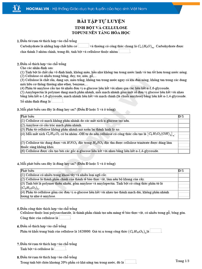 Tinh B T Và Cellulose | PDF