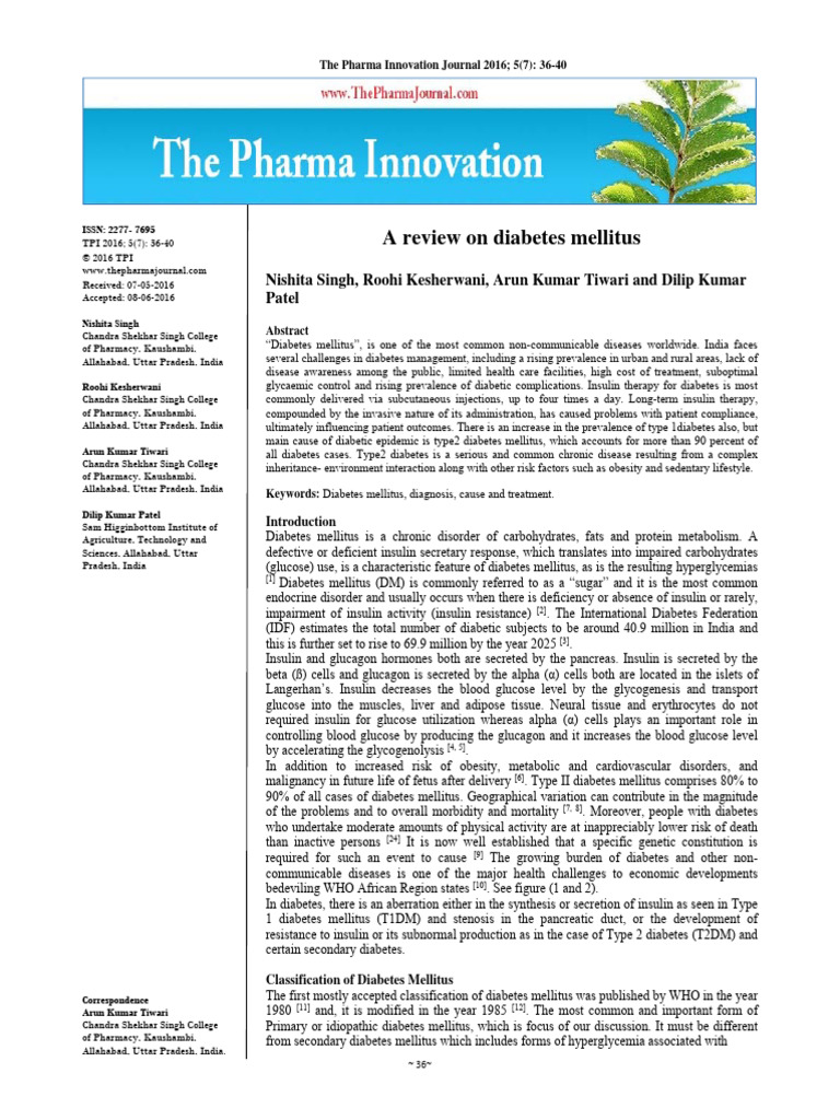 A Review On Diabetes Mellitus 250606 151032 | PDF | Diabetes ...
