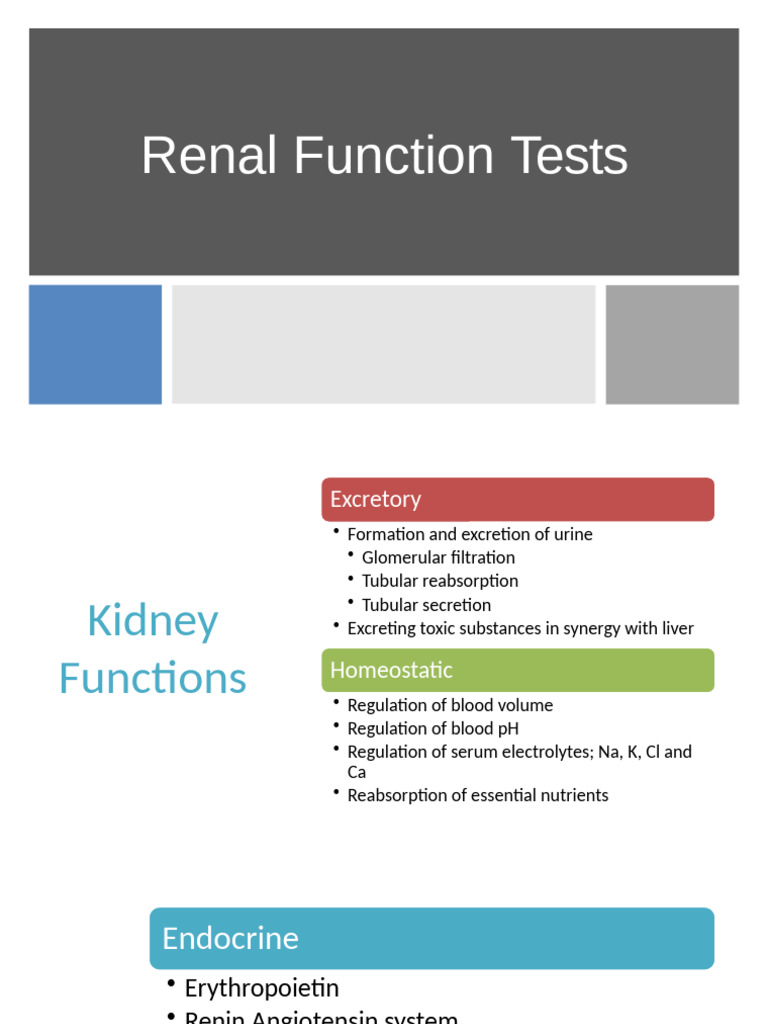 Comprehensive Guide to Renal Function Tests | PDF | Kidney | Creatinine