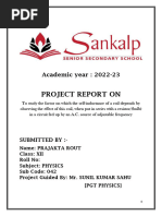 PDF Document