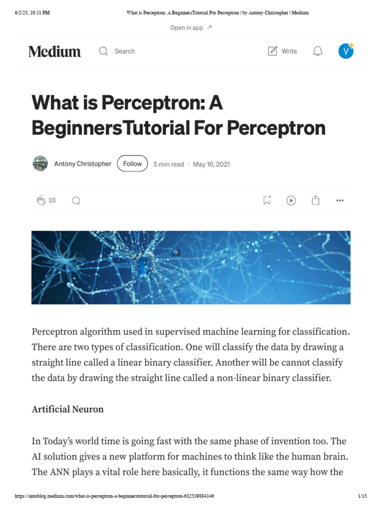 Perceptron: A Beginner's Guide | PDF | Statistical Classification ...