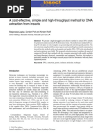 Download A Effective Simple and High-throughput Method for DNA Extraction From Insects by Kara N Tina SN87915259 doc pdf