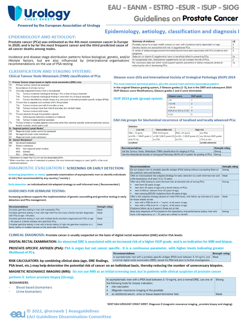 EAU Guidelines On Prostate Cancer | PDF | Prostate Specific Antigen ...