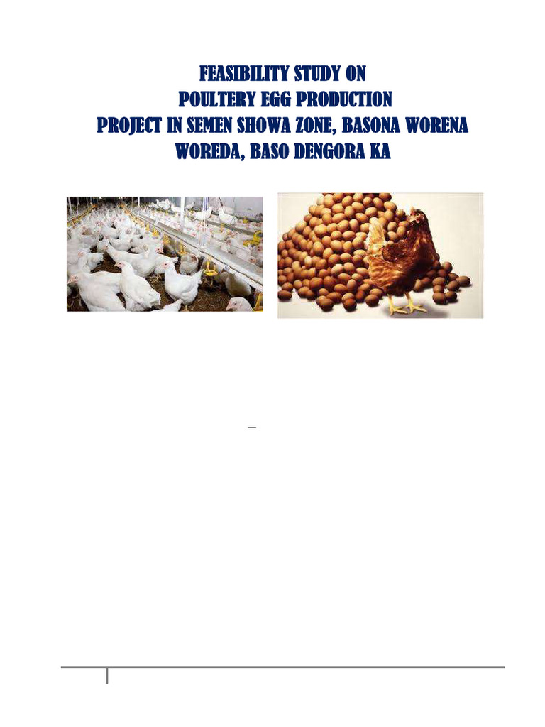 Poultry Egg Production Feasibility Study | PDF | Internal Rate Of ...