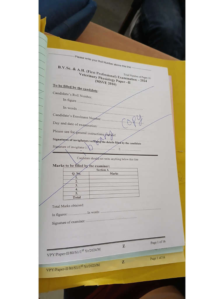 Phy External 2 2024 | PDF