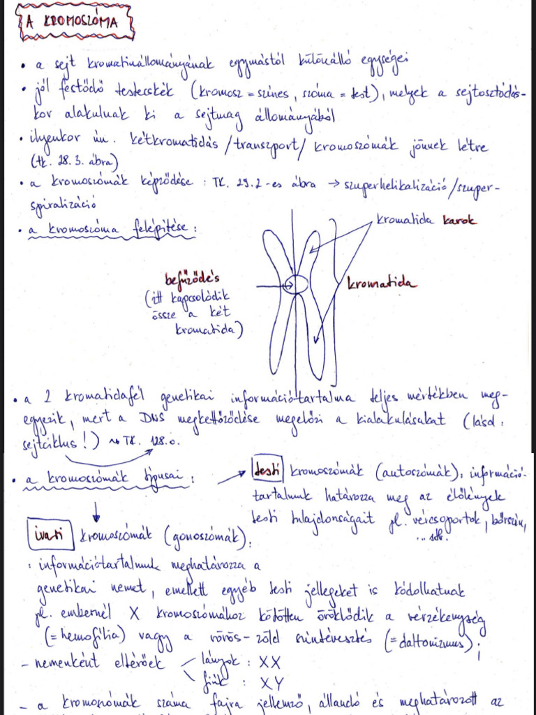 Img - 0104 2 | PDF