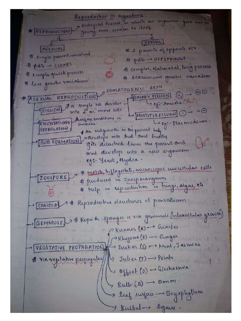 Bio 12 Notes | PDF