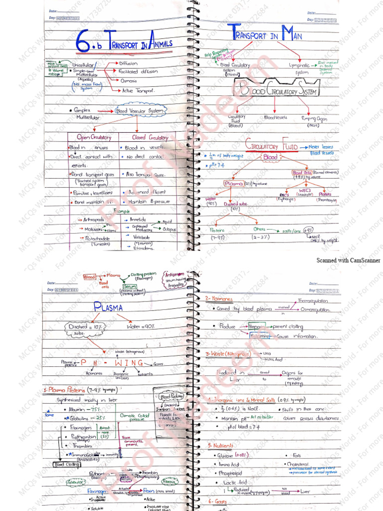 Transport in Animals or Circulation Notes - MCQs World | PDF