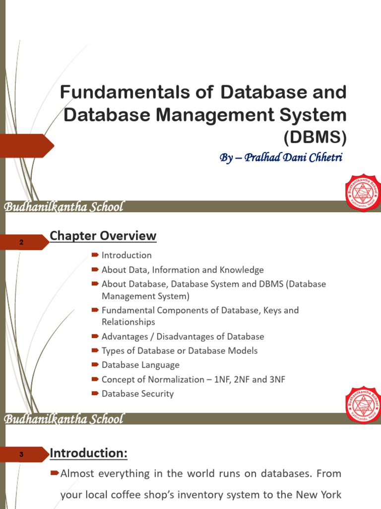 Database Management System Basics | PDF | Databases | Relational Database