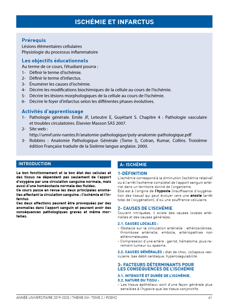 Ischémie et infarctus : définitions et causes | PDF | Ischémie ...