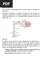 Electrodiagnóstico: NCS y EMG Explicados | PDF | Nervio | Potencial de ...