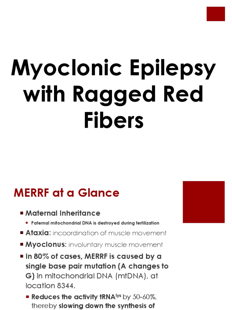 Myoclonic Epilepsy With Ragged Red Fibers (MERRF) Mitochondrion
