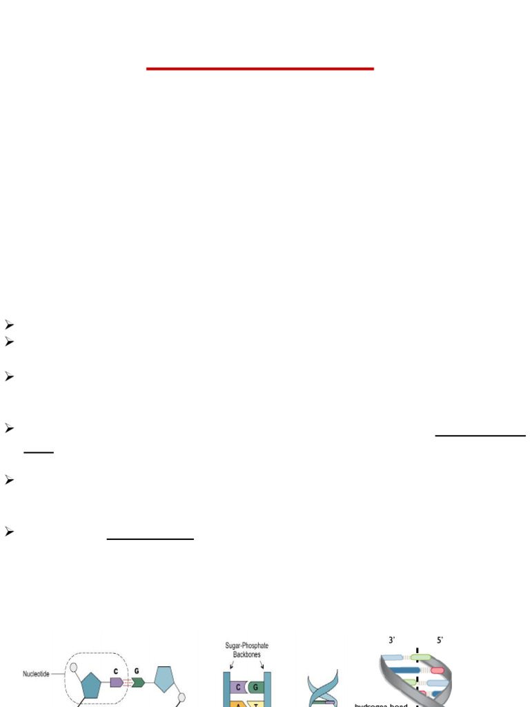 DNA Extraction from Bacterial Colonies | PDF | Dna | Nucleotides