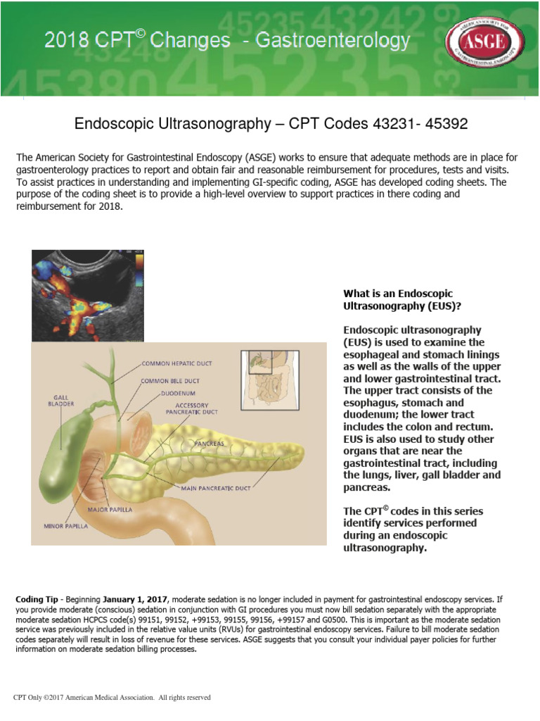 EUS CPT Codes Overview and Guidelines | PDF | Gastrointestinal Tract ...