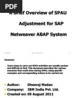 Abap Upgrade SPAU Adjustment