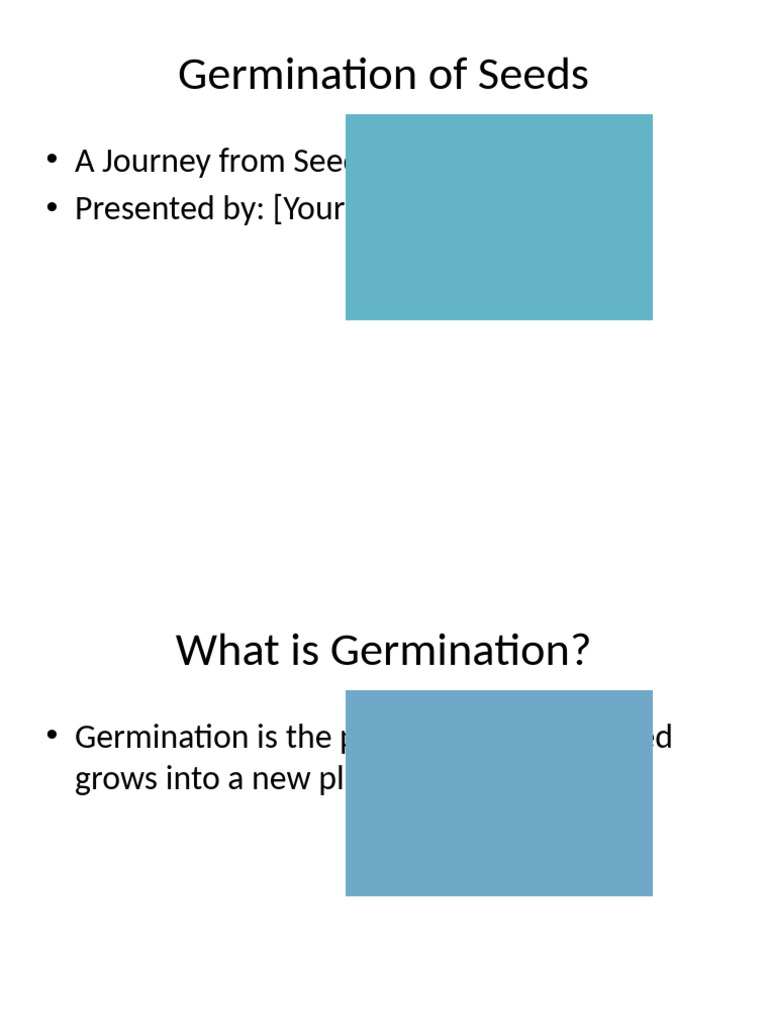 Understanding Seed Germination Types | PDF
