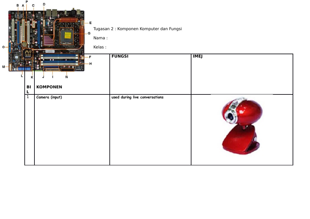 Computer Components and Functions Guide | PDF | Input/Output | Compact Disc