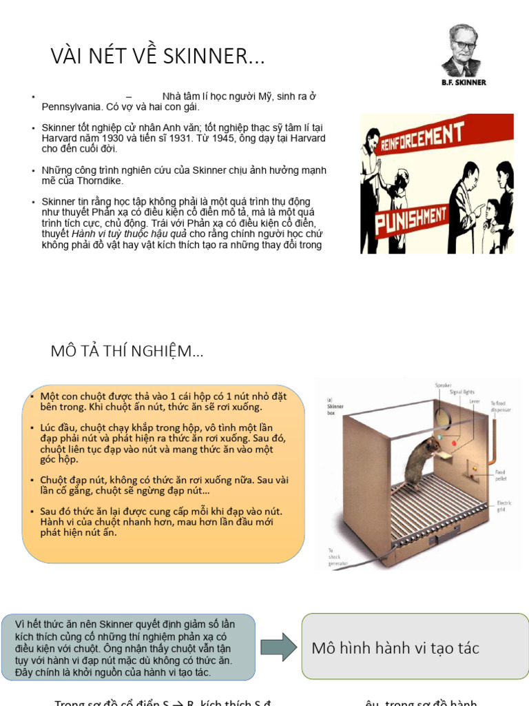 Skinner | PDF