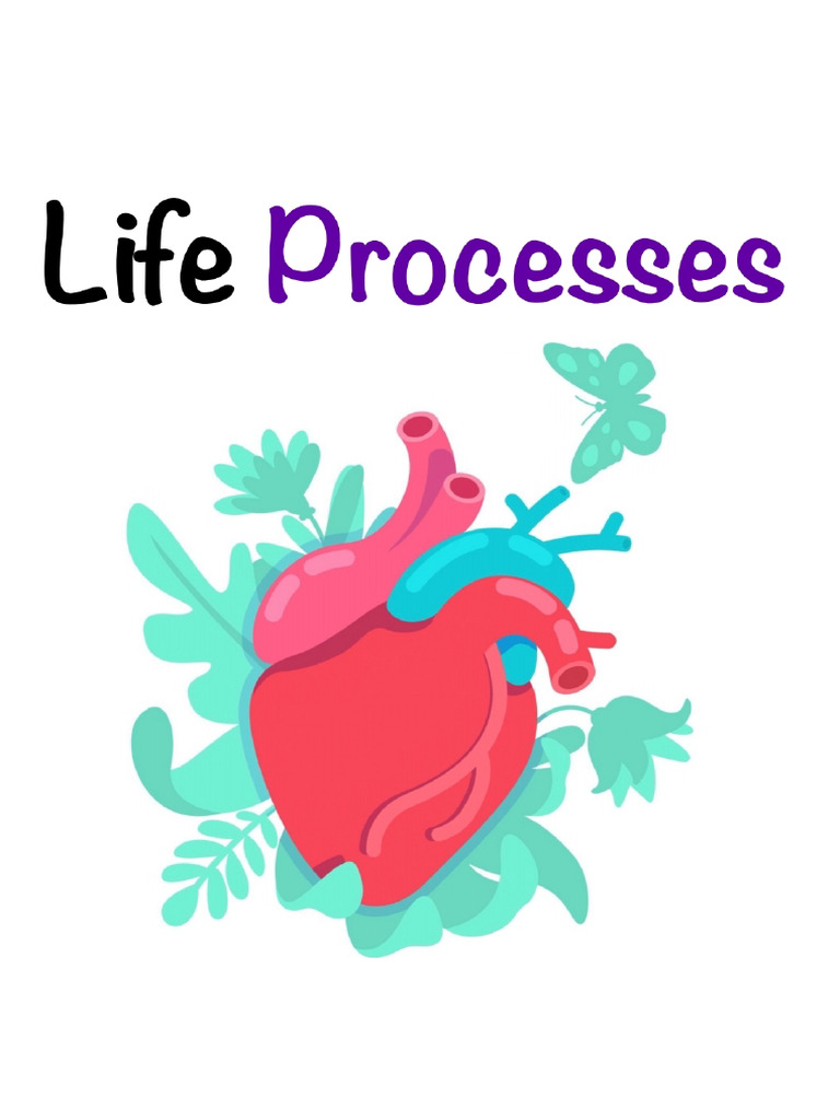 Life Processes | PDF