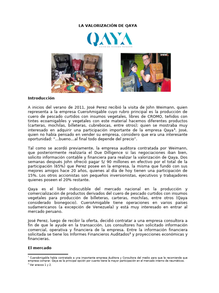 Valorización de Qaya: Oportunidad de Inversión | PDF | Activo fijo ...