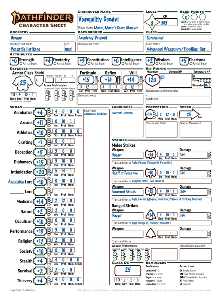 Summoner's Character Sheet Overview | PDF | D20 System