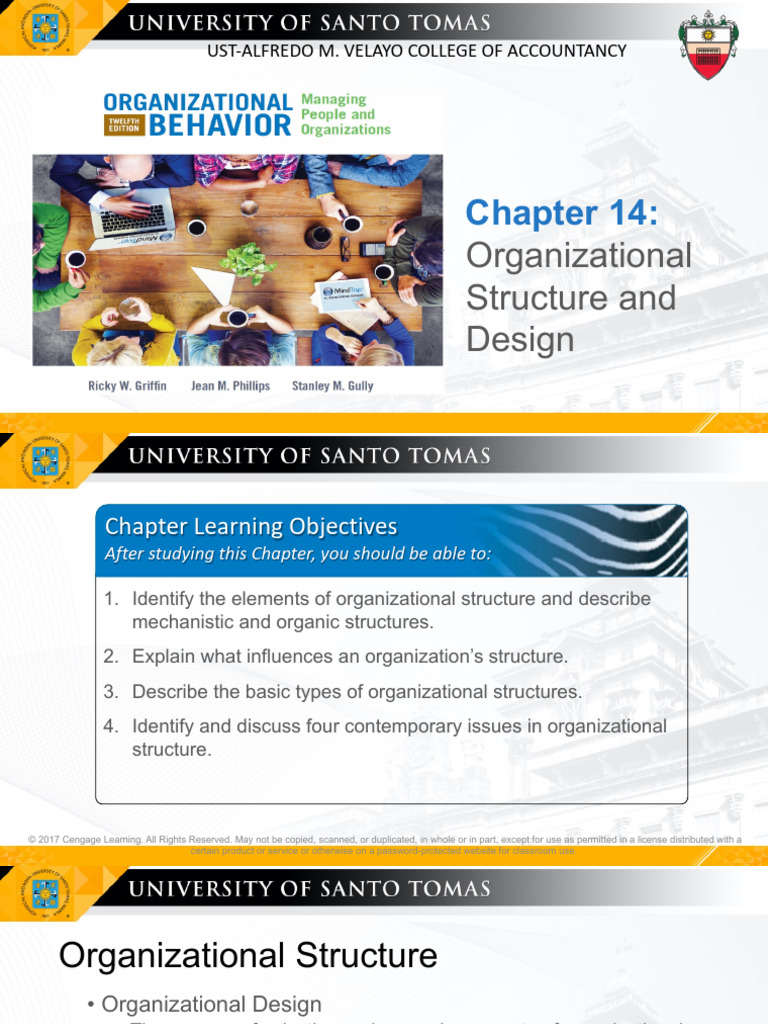 Understanding Organizational Structure | PDF | Organizational Structure ...