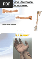 Radiografía de Mano Normal | PDF