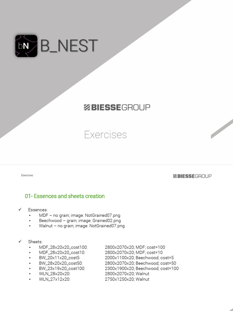 B_NEST Project Exercises Overview | PDF | Computer Aided Design