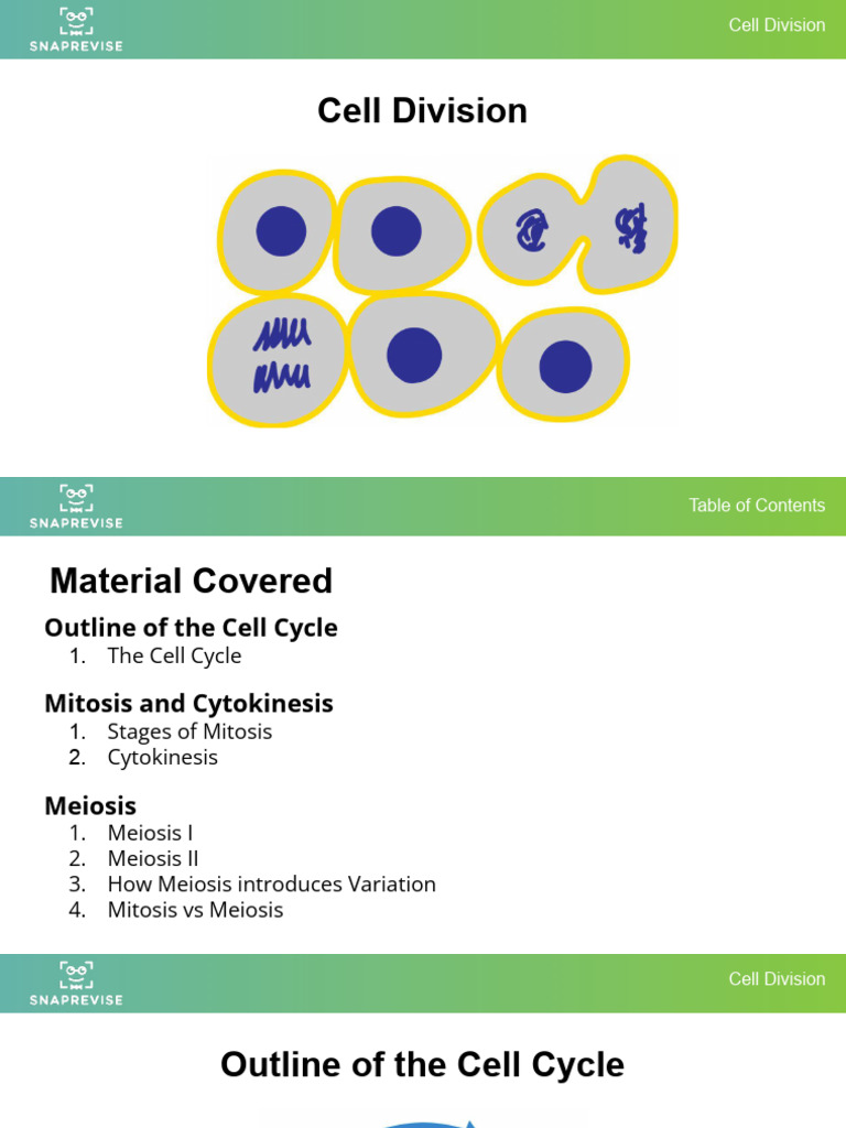 3 Cell Division Projector Viewpptx | PDF | Meiosis | Mitosis
