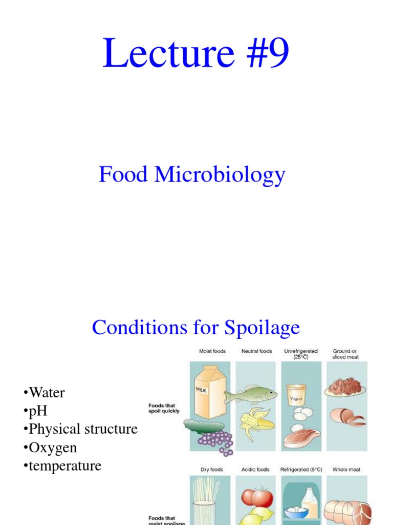 Lecture 18 Food Microbiology PDF