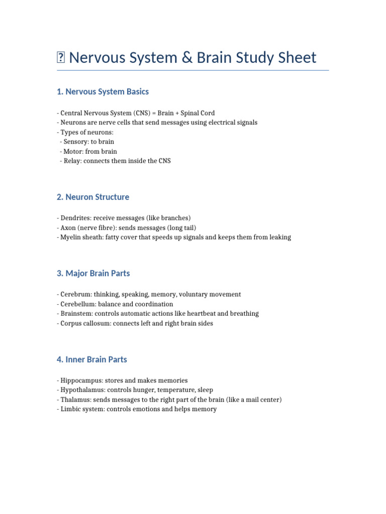 Nervous System and Brain Study Sheet | PDF
