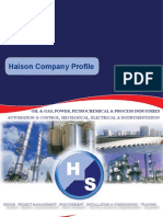 HaiSon Company Profile