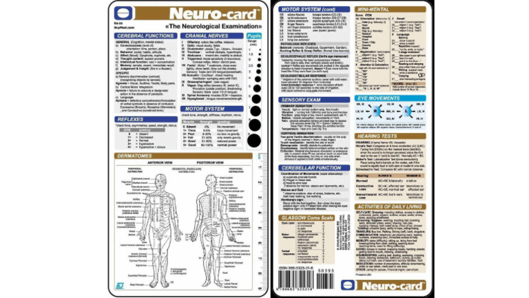 Neuro | PDF