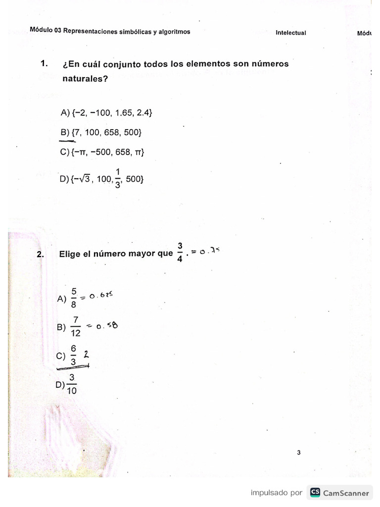 Guía Representaciónes Simbólicas y Algor | PDF