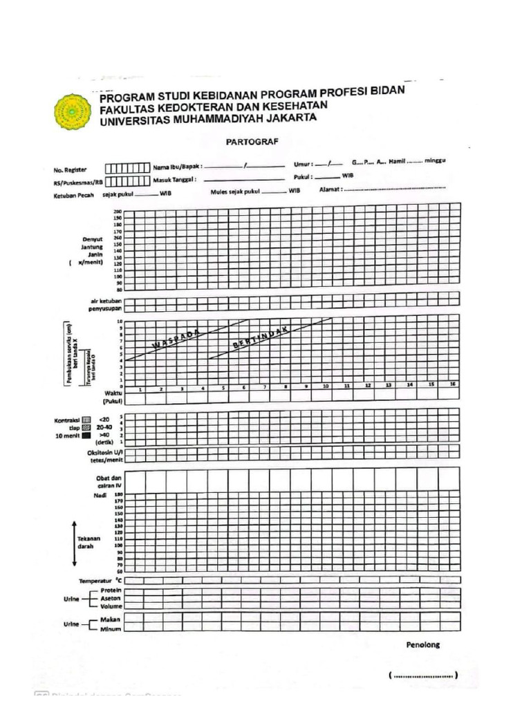Lembar Partograf | PDF