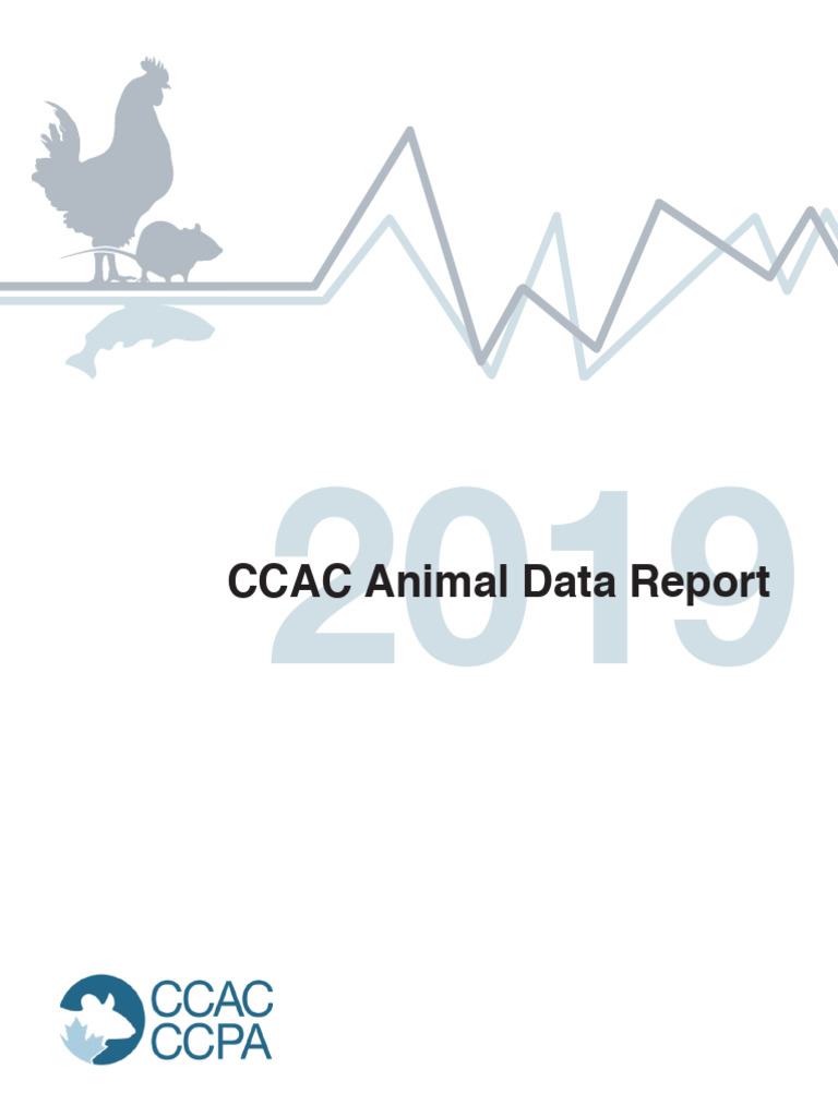 2019 Animal Data Report | PDF | Rodent | Animal Welfare