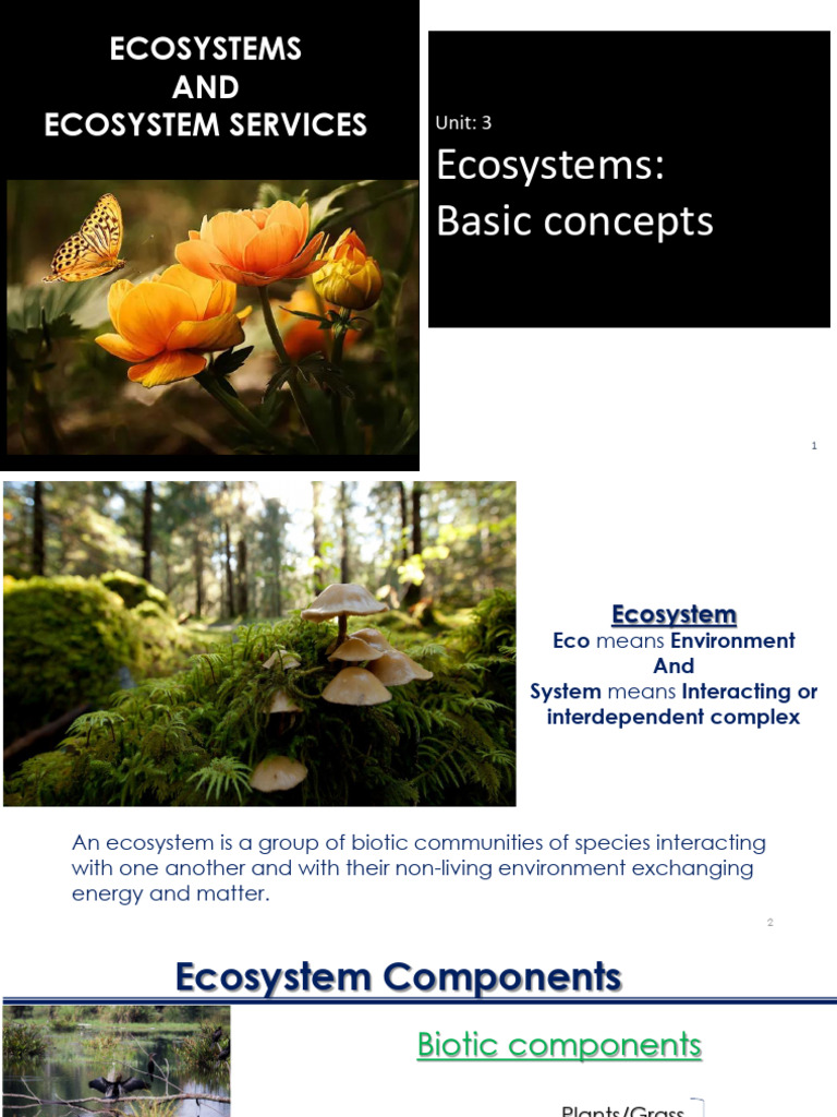 Ecosystem Services and Biodiversity Overview | PDF | Soil | Food Web