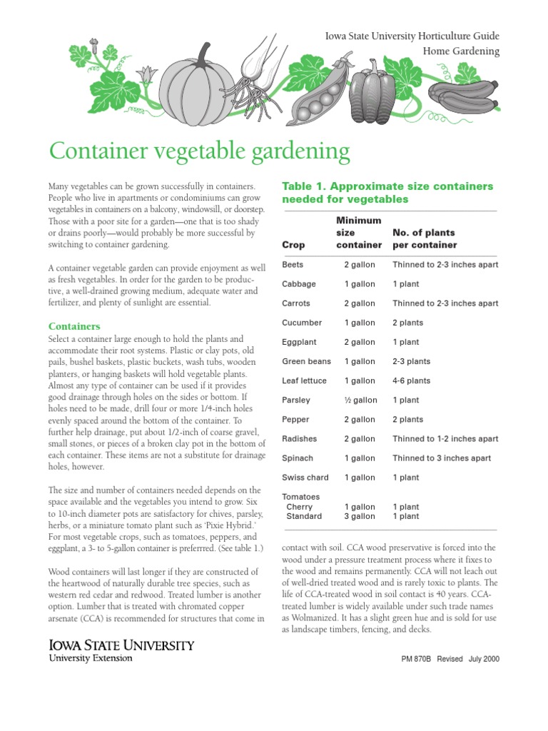 Container Gardening for Beginners | PDF