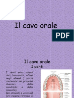 Cavo Orale (Anatomia)